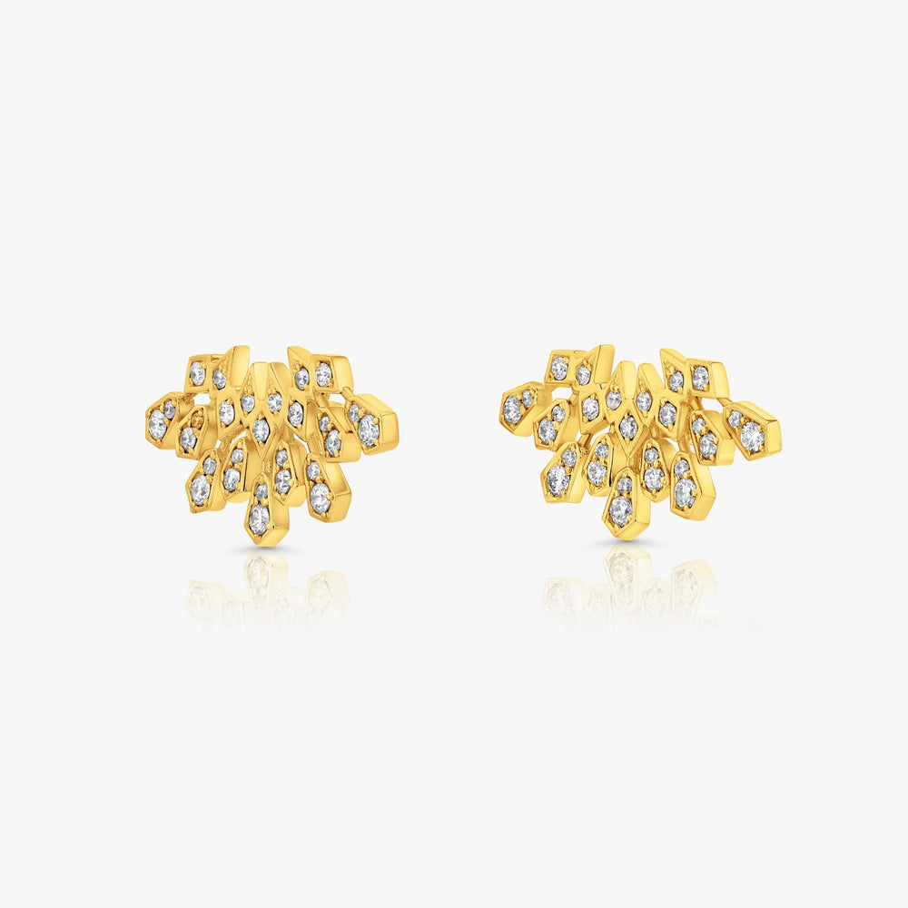 Soar Earrings Large